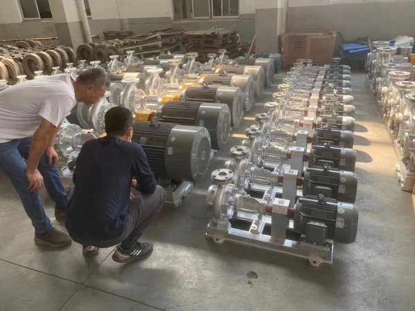 WRY系列熱油(you)泵